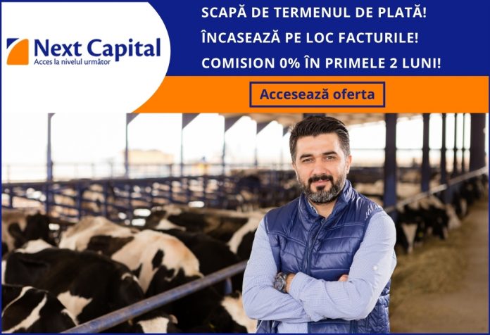 Foto Next Capital