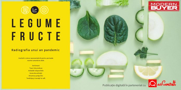 Publicatie digitala