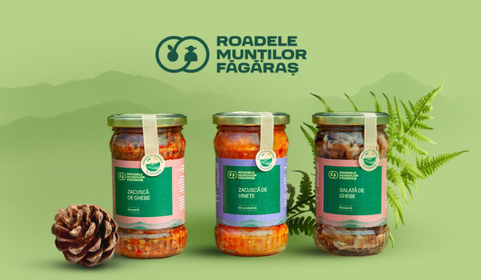 Vizual_Roadele Muntilor Fagaras