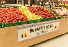 O cooperativă agricolă din Matca intră în programul Carrefour „Grădina Noastră”